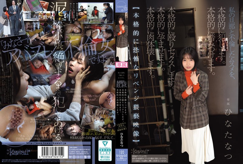 我会彻底侵犯和我丈夫不伦的女儿。会狠狠地踩踏她。会狠狠地进行殴打性交。会彻底让她怀孕。会彻底毁掉她的肉体。【彻底恐怖的复仇猥亵影像】 ひなたなつ